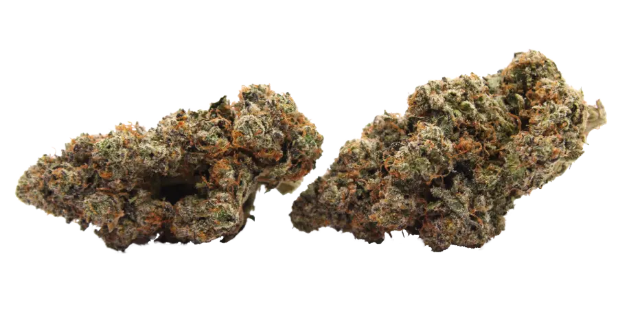 penzoil thca strain