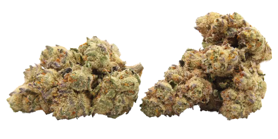 platinum life hack thca strain