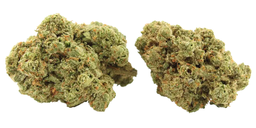 apricot scones flower strain