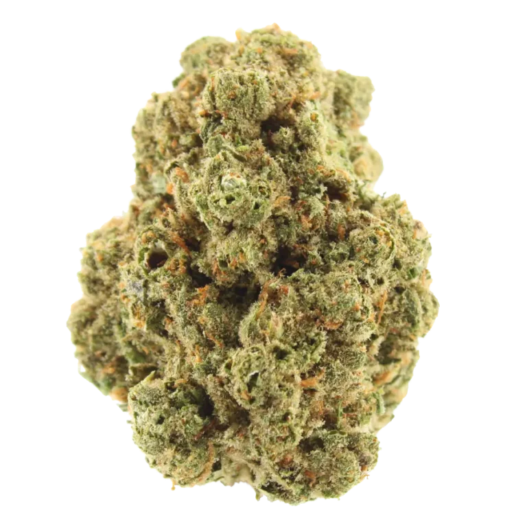 apricot scones strain