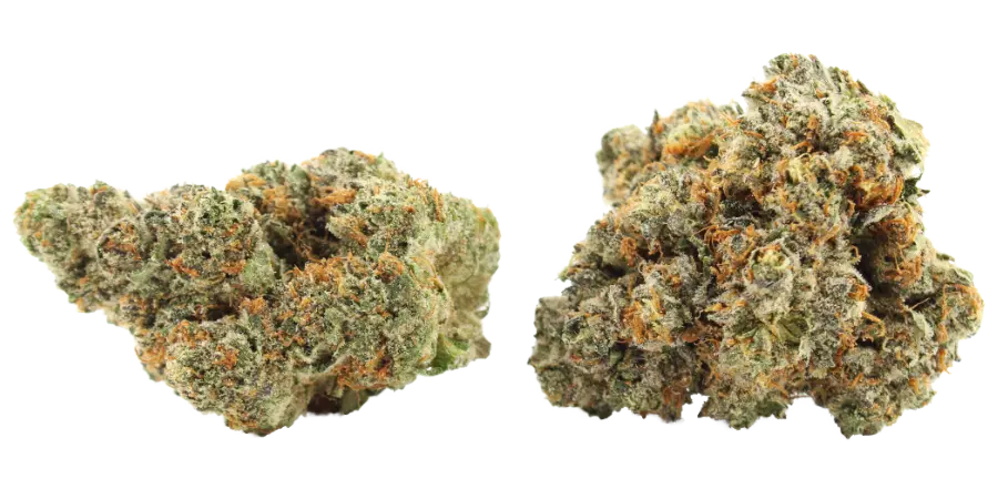 banana zkittles thca strain