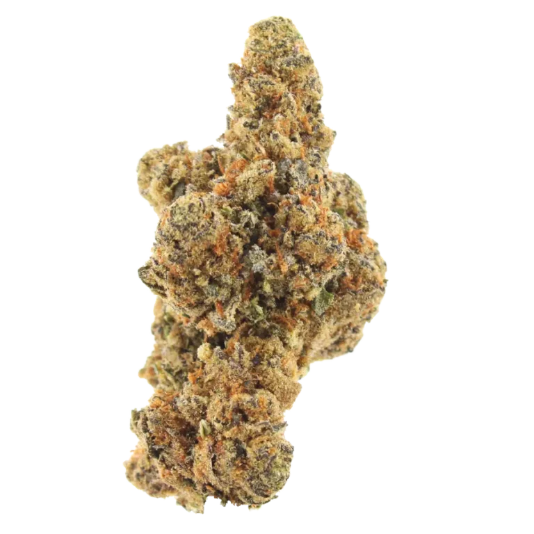 big gorilla mac