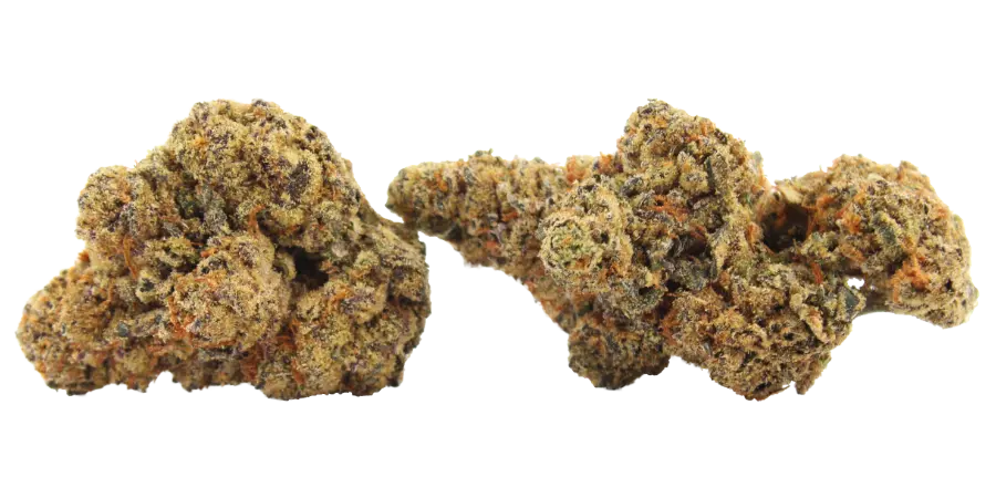 big gorilla mac thca flower