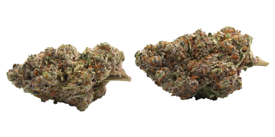 jake the snake thca flower