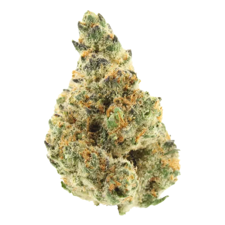 mendo breath
