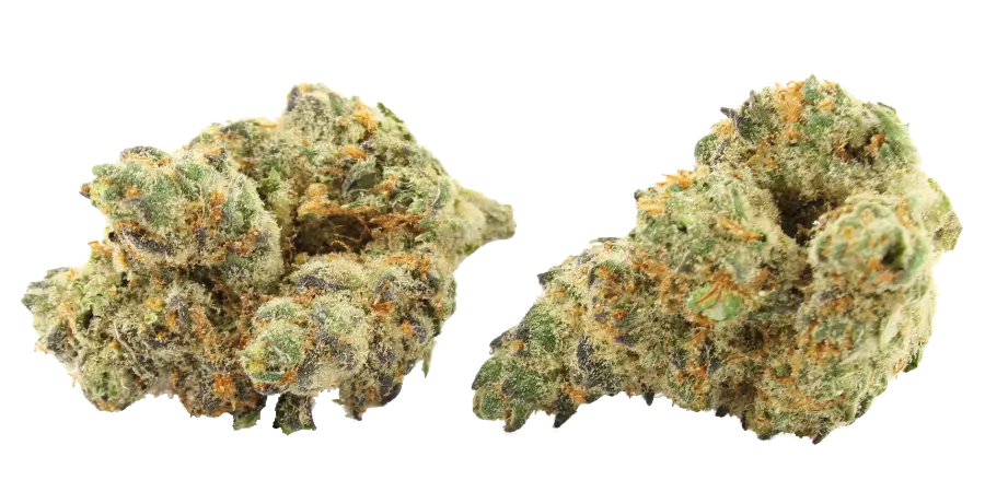 mendo breath thca strain
