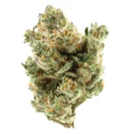 modified grapes strain