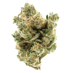 modified grapes strain