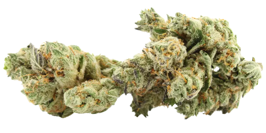 modified grapes thca strain