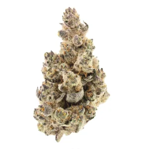 trichbeast strain