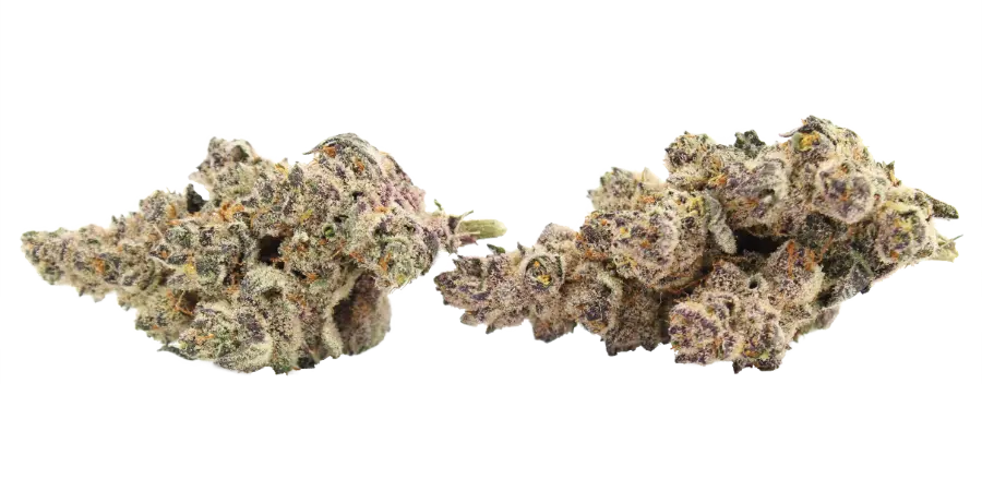 trichbeast thca strain